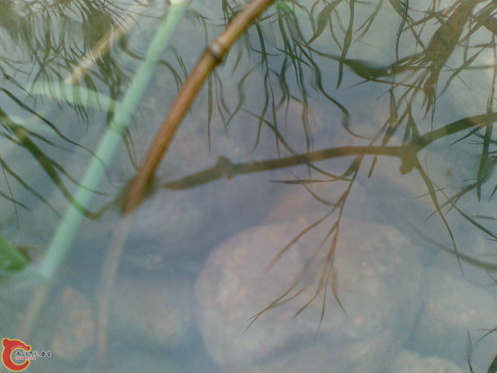 20100625(028).jpg
