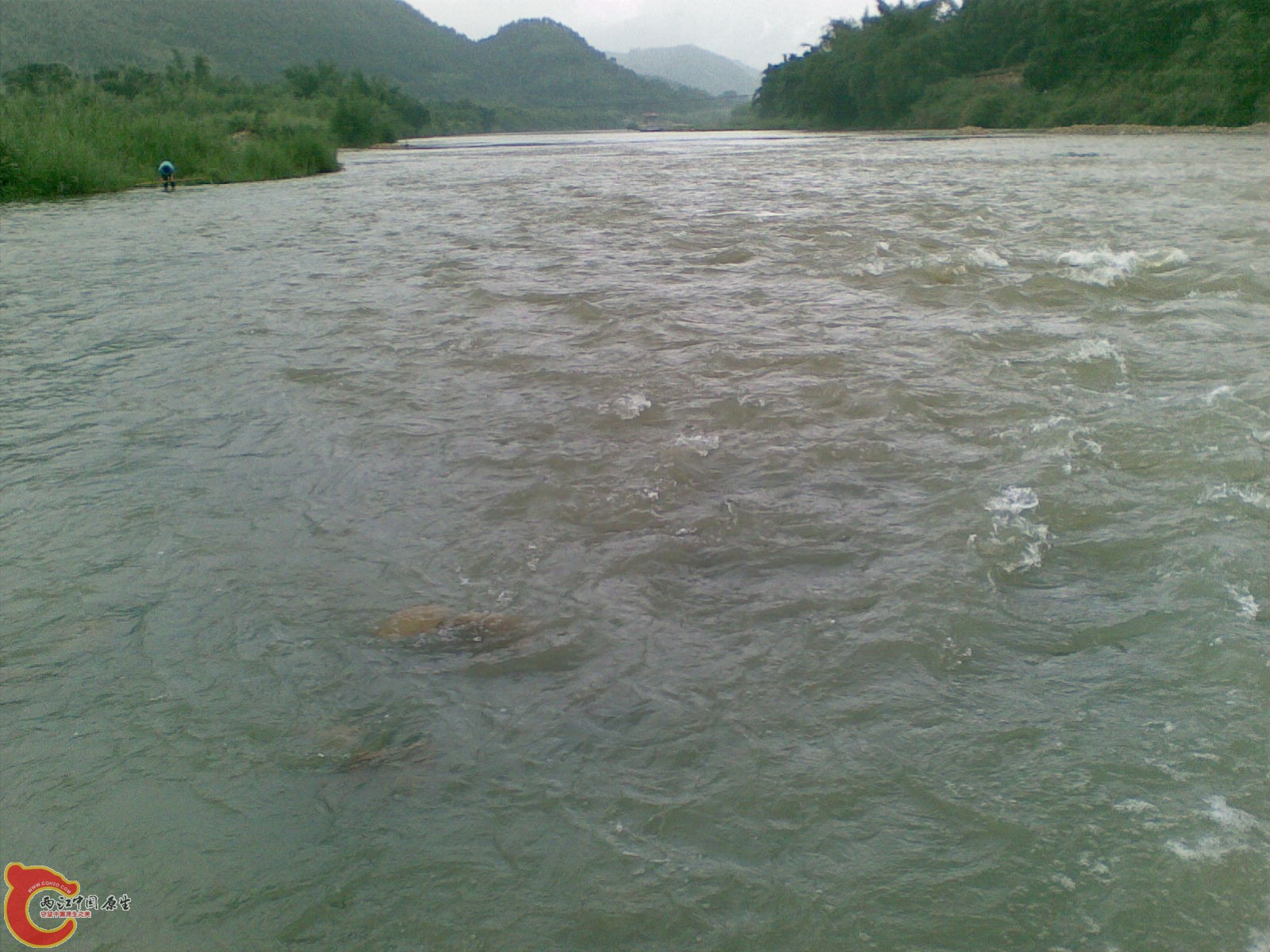 20100625(025).jpg