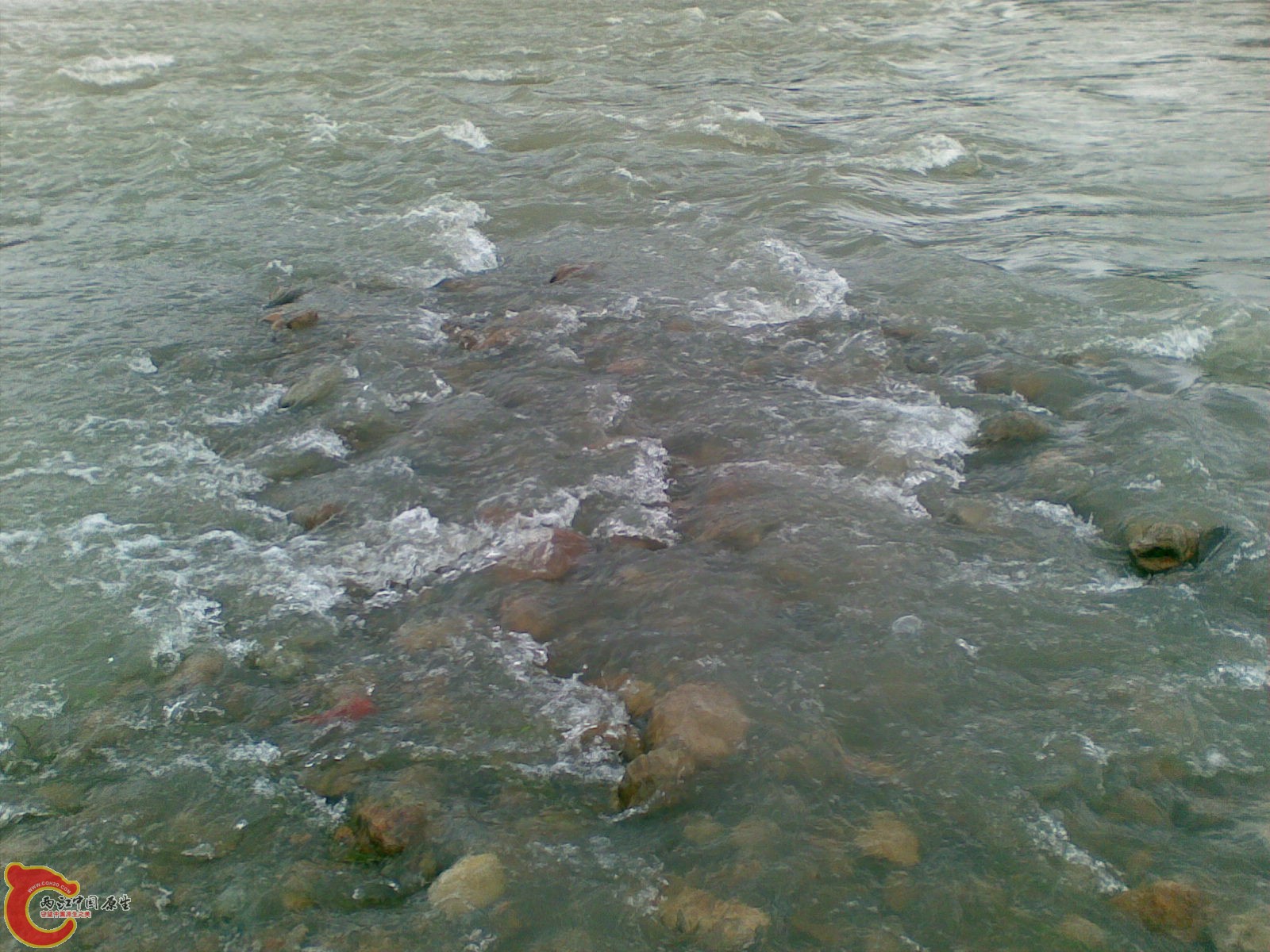 20100625(022).jpg