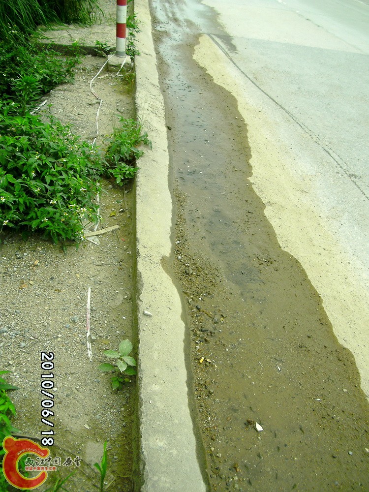 yumiao (4).jpg