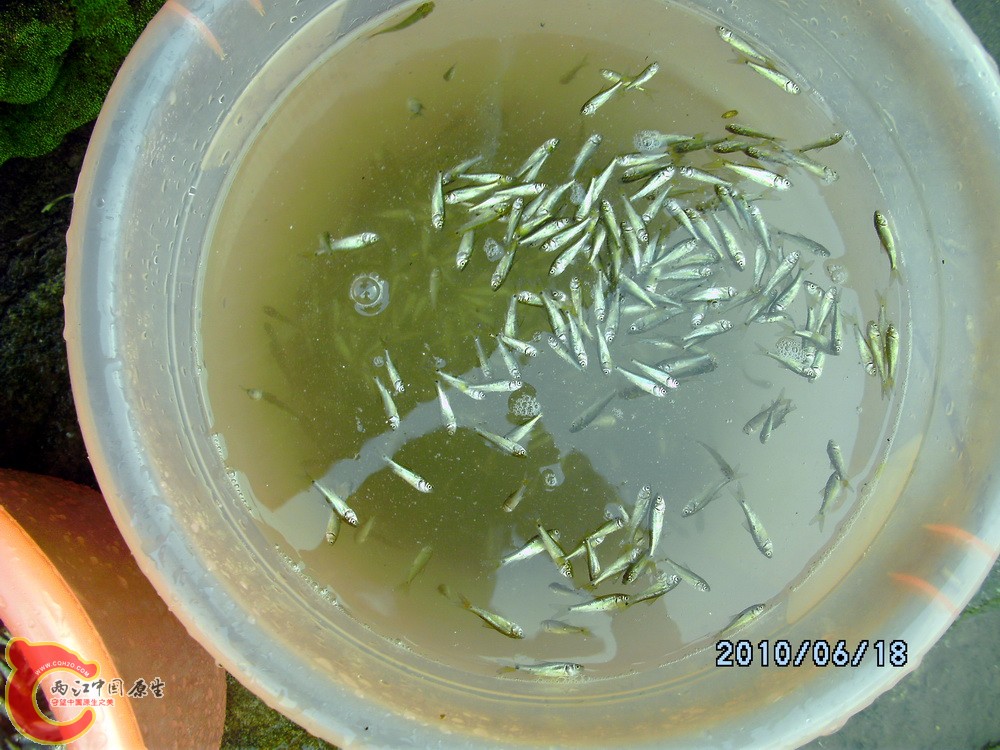 yumiao (9).jpg