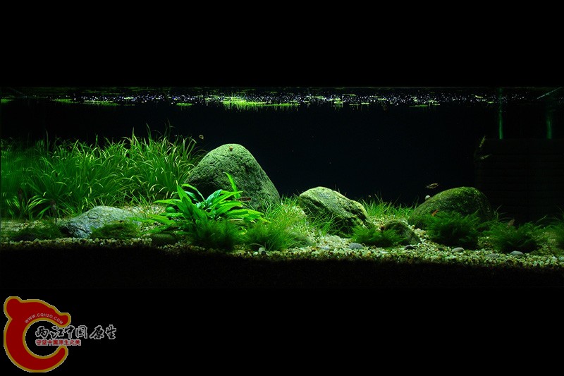 Moje akva maj 2010-2.jpg