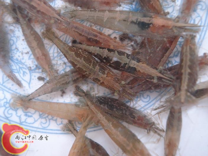 DSC03702.JPG