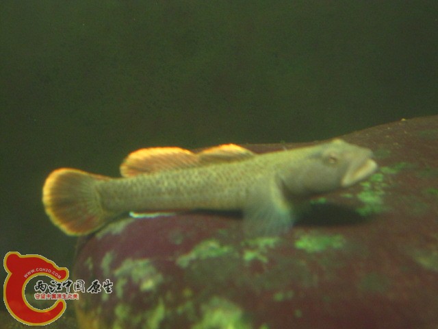 IMG_0317.JPG