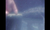 未命名.gif