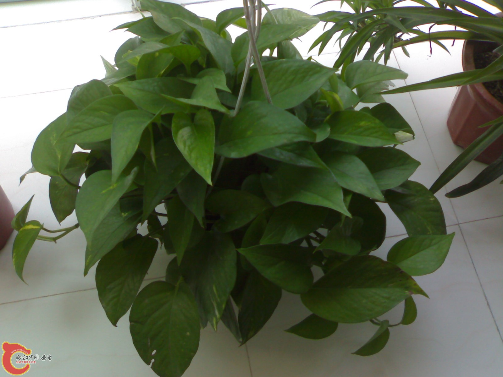 201006301799.jpg