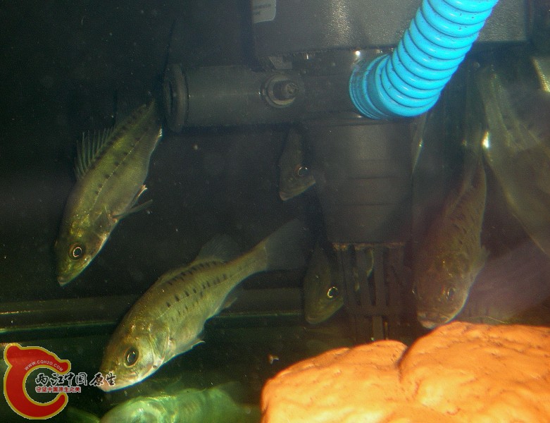 2010-07-01_08-47-36.JPG