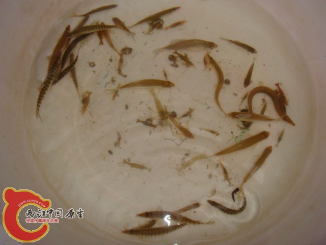 DSC07218.JPG