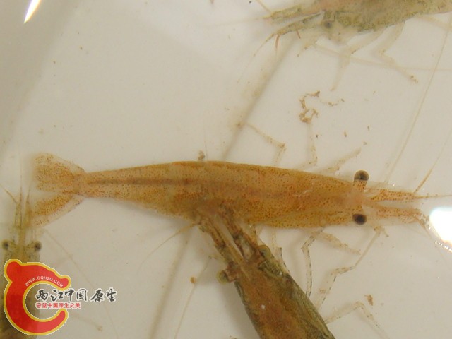 DSC07224.JPG