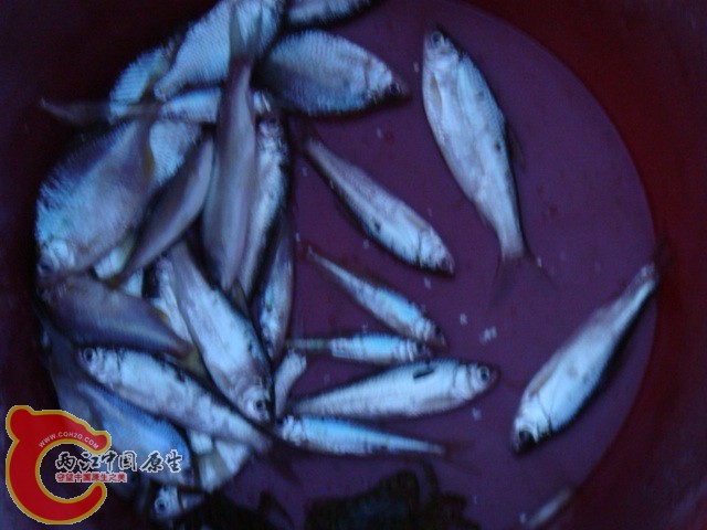 DSC07111.JPG