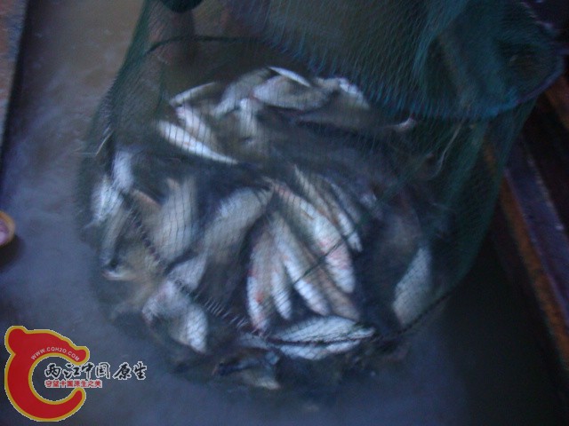 DSC07113.JPG