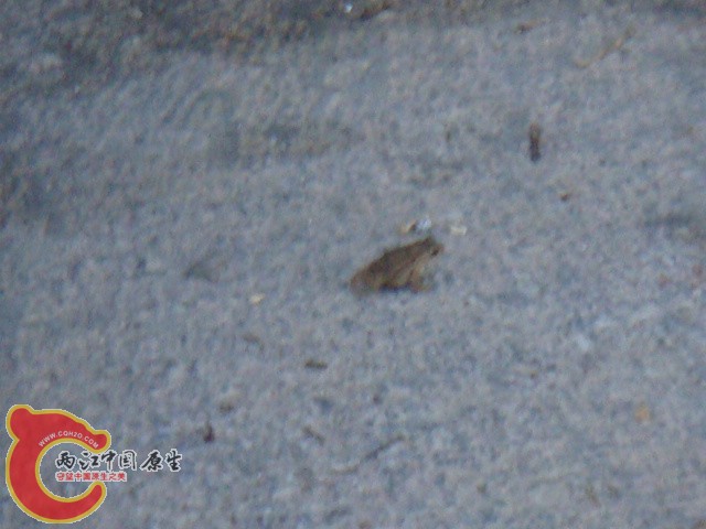 DSC07116.JPG