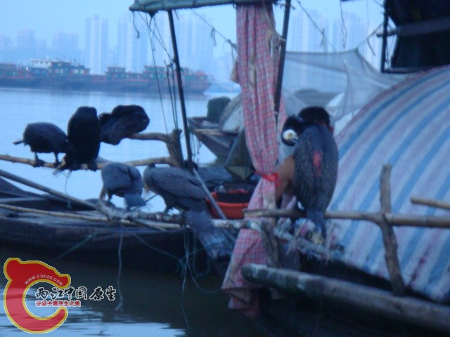 DSC07108.JPG