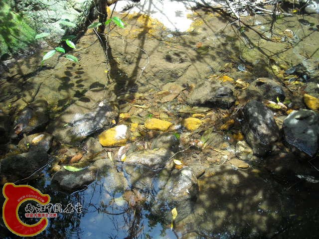 DSCN0435.JPG