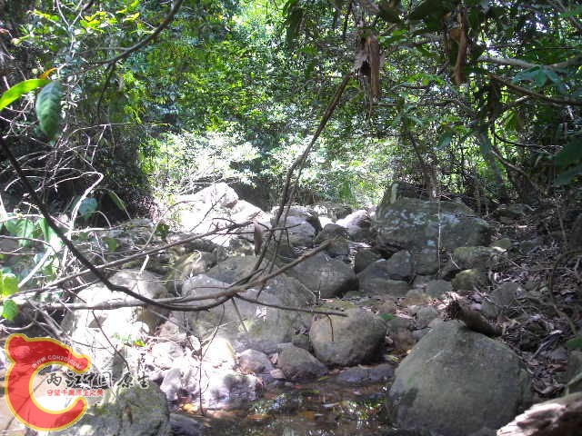 DSCN0436.JPG