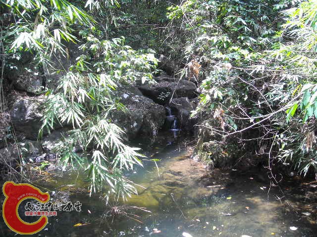 DSCN0438.JPG