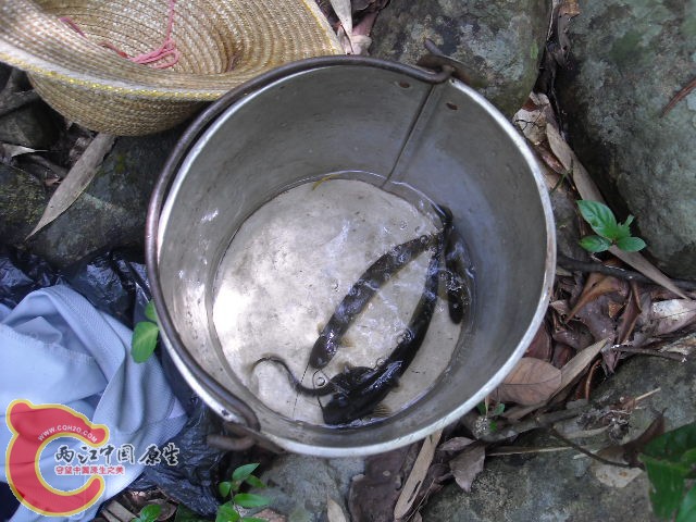 DSCN0440.JPG