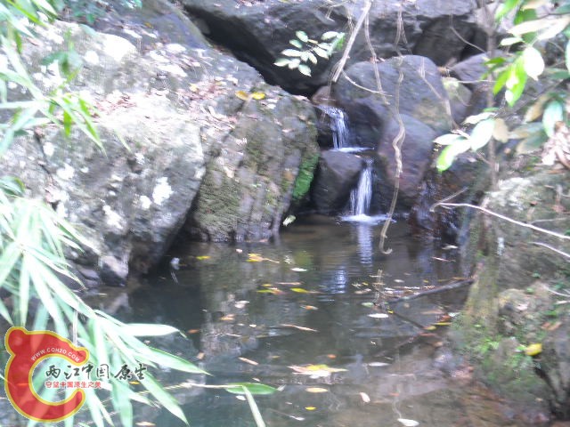 DSCN0442.JPG