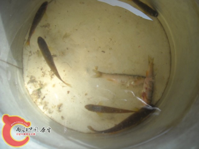 DSCN0456.JPG