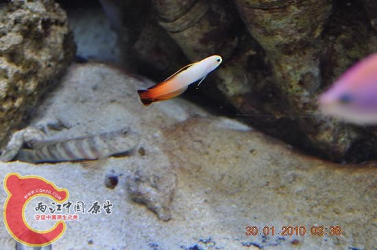 DSC_0754.JPG