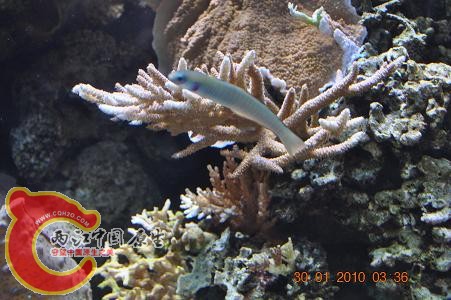 DSC_0751.JPG
