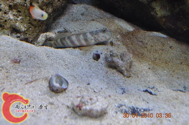 DSC_0752.JPG