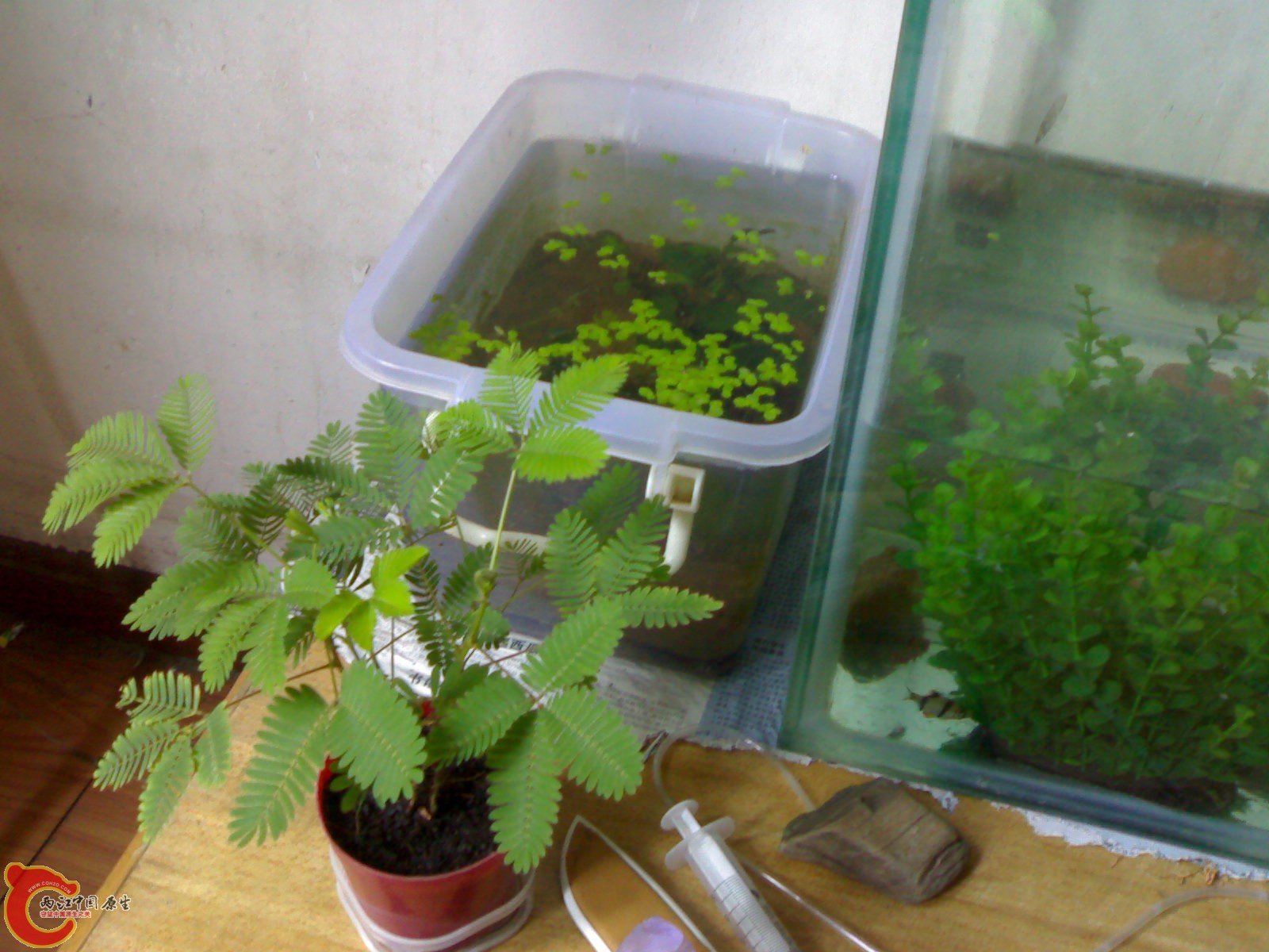 201007021840.jpg
