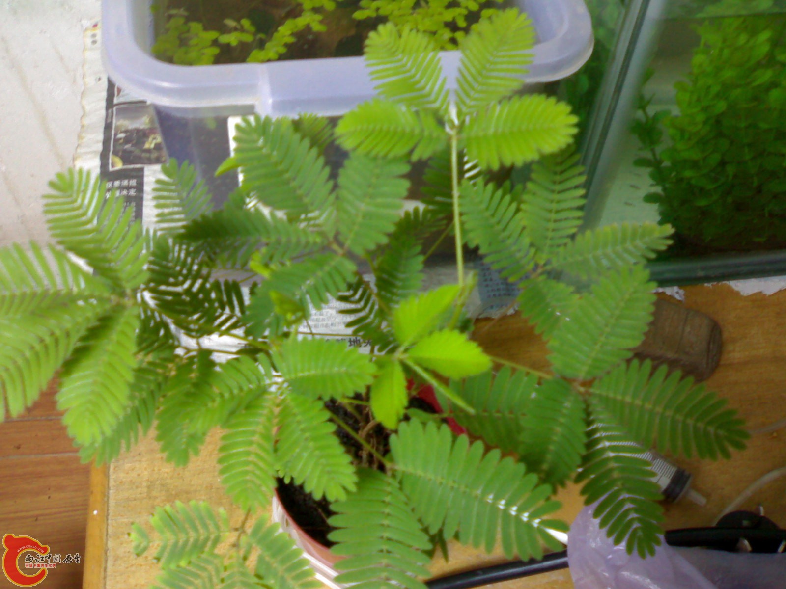 201007021841.jpg