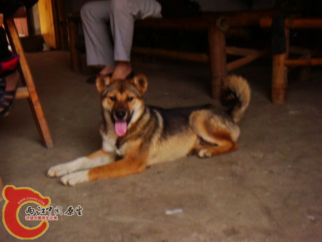 DSC07314.JPG