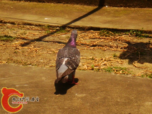 DSC07313.JPG