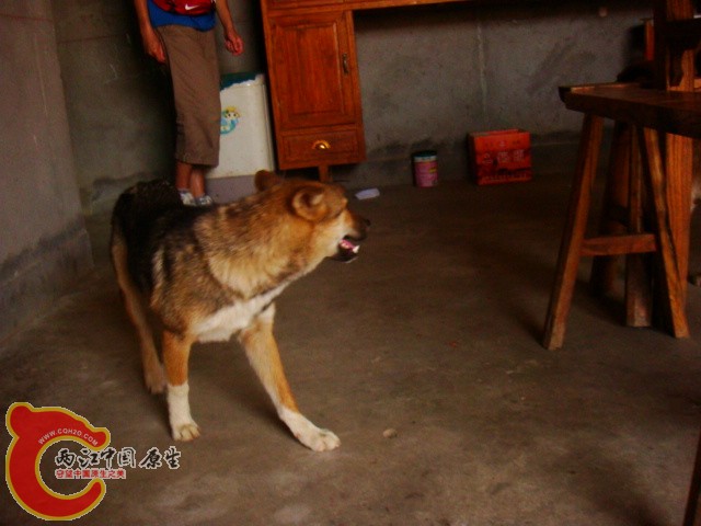 DSC07309.JPG