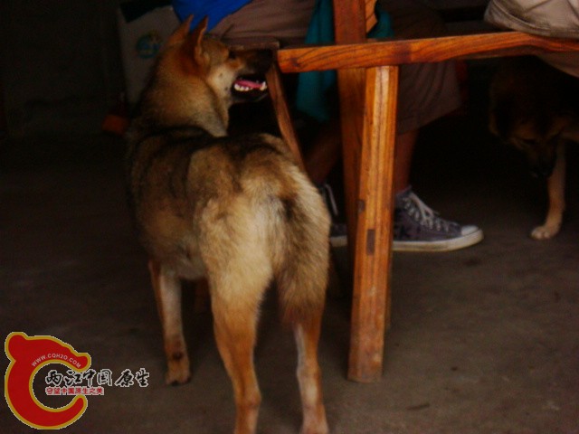DSC07315.JPG