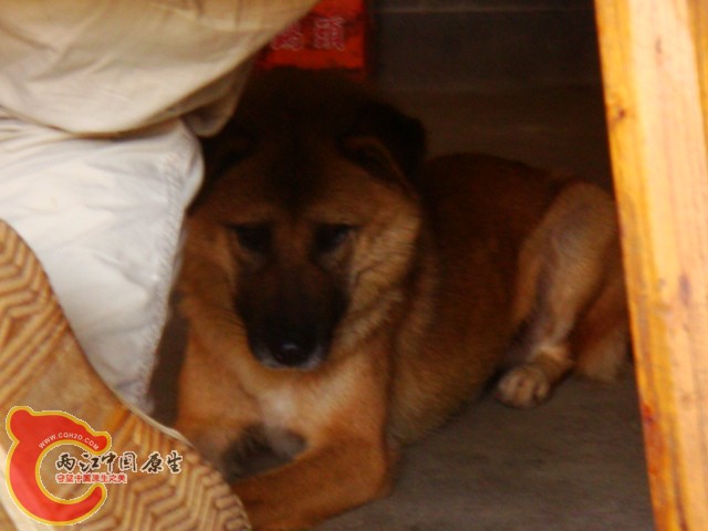 DSC07318.JPG