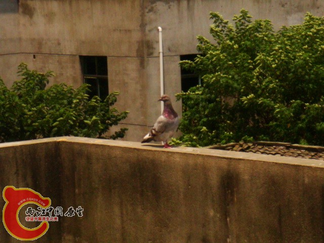 DSC07324.JPG