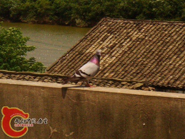 DSC07322.JPG