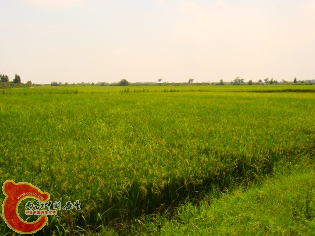DSC07325.JPG
