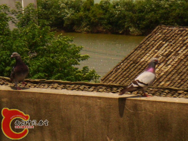 DSC07321.JPG