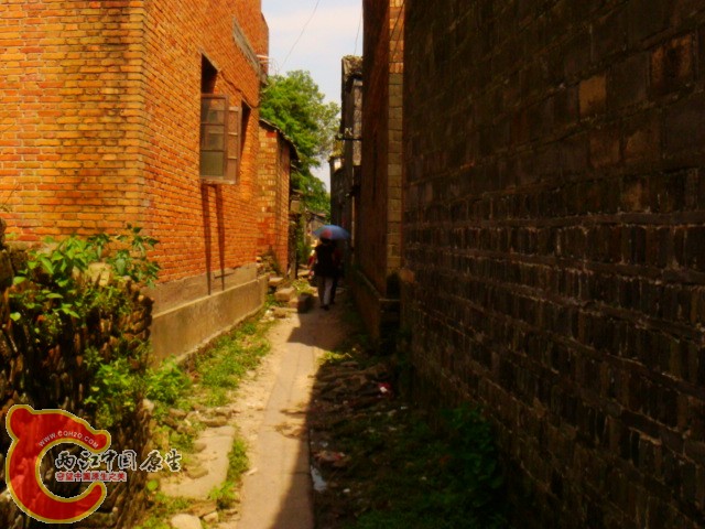 DSC07346.JPG