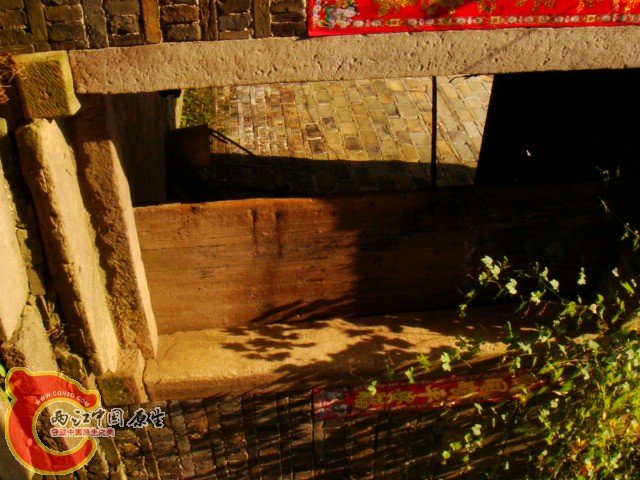 DSC07350.JPG