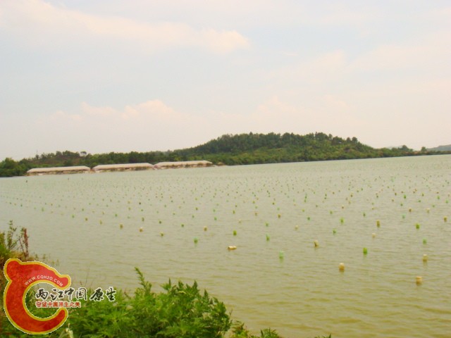 DSC07359.JPG