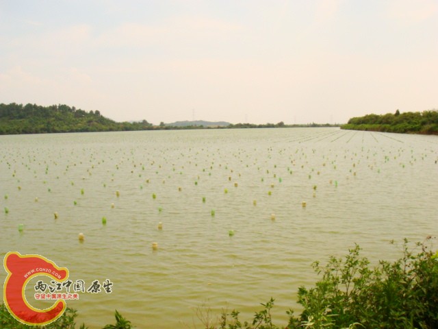 DSC07358.JPG