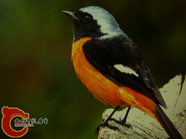 DSC07468.JPG