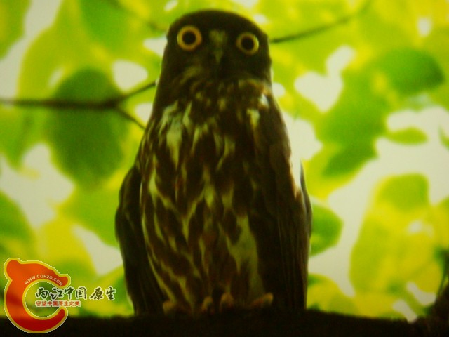 DSC07498.JPG