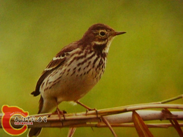 DSC07500.JPG