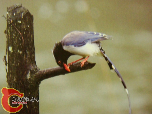 DSC07415.JPG