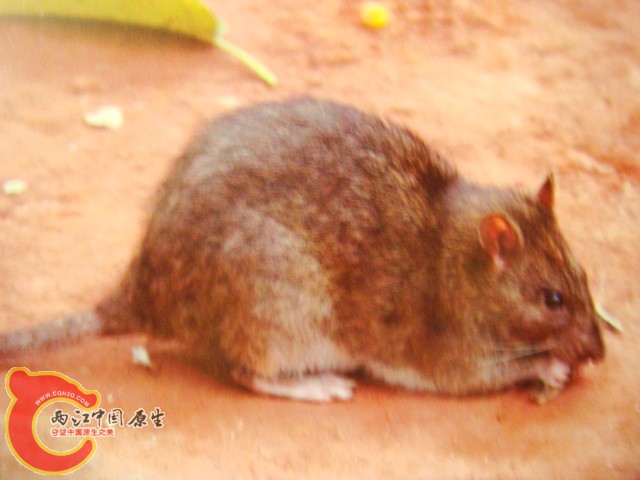 DSC07411.JPG