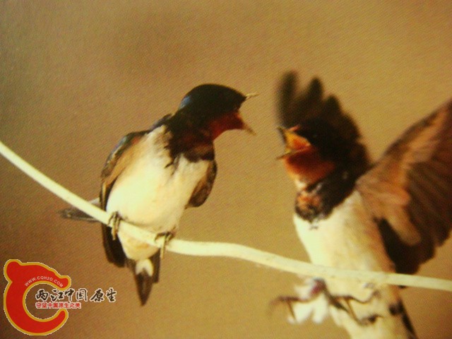 DSC07412.JPG