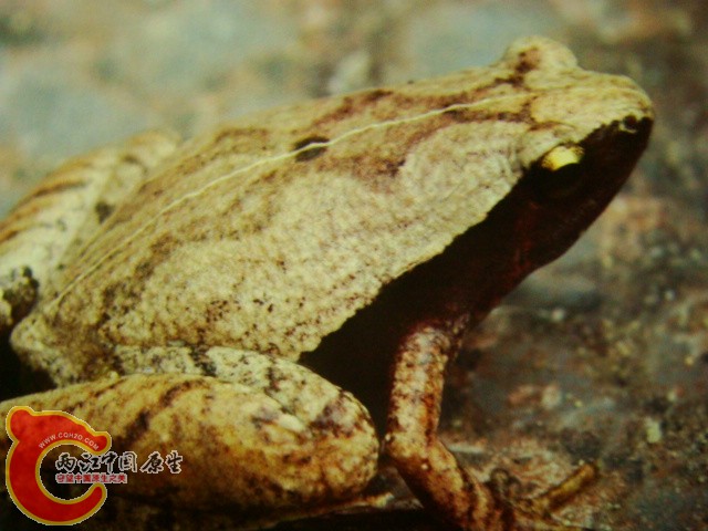 DSC07430.JPG