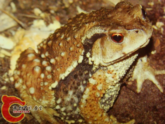 DSC07435.JPG