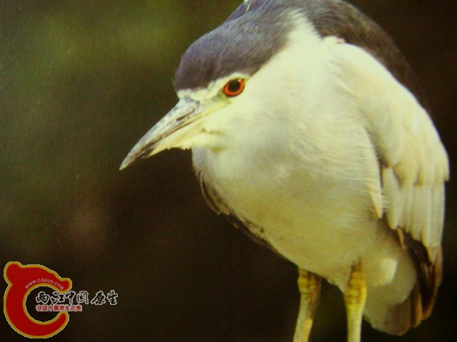 DSC07423.JPG